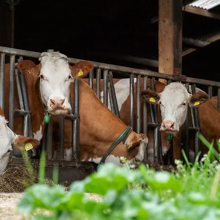 Heerlichkeit Löffingen