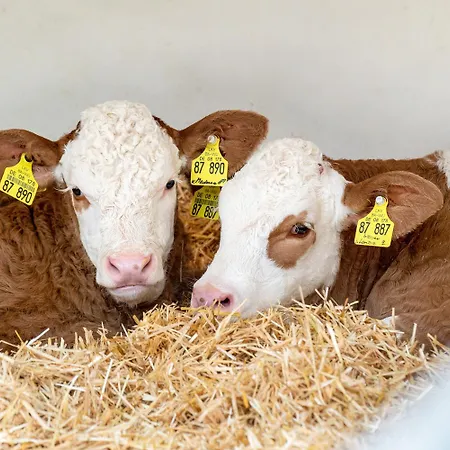 Heerlichkeit בית נופש