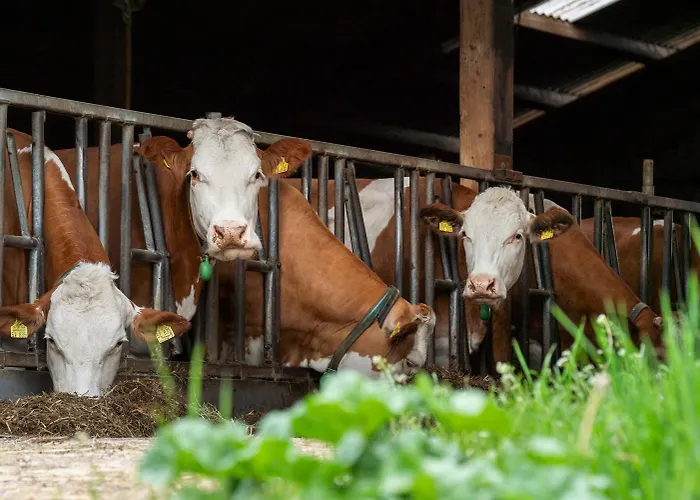 Heerlichkeit Löffingen